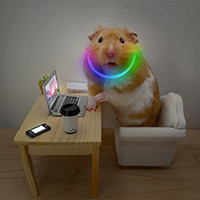 Hamster-working-hard