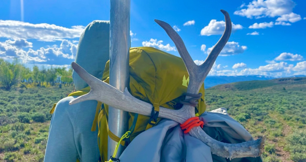 Gear Tie holding antlers