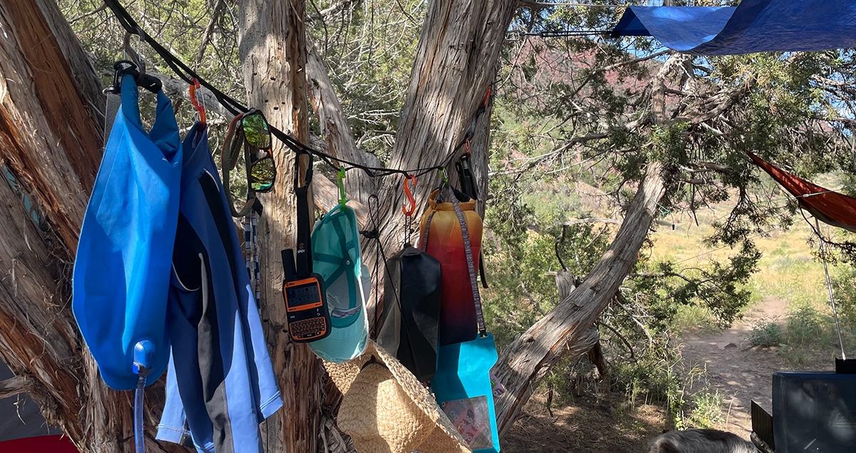 Camping gear strung on a line between two trees