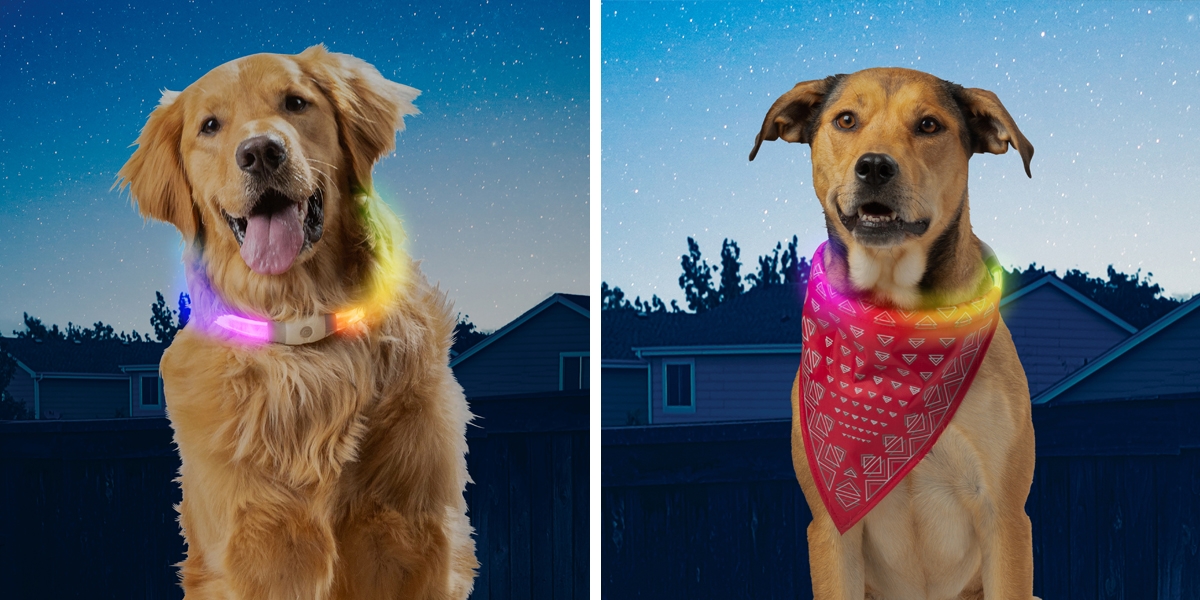 NiteHowl Max and NiteHowl Bandana Rechargeable LED Safety Necklaces