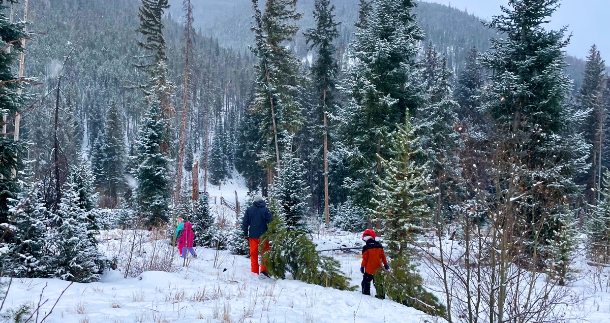 Family cutting down a Christmas tree in the forrest