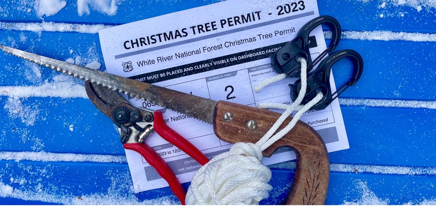 Permit and supplies to cut your own Christmas tree