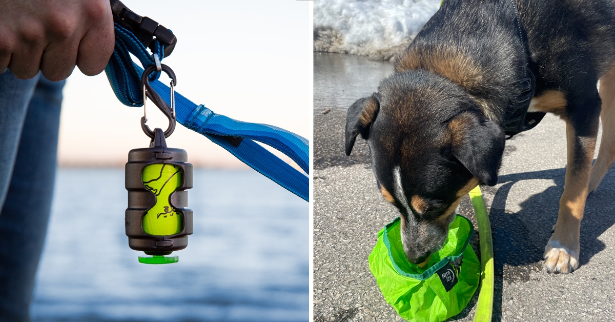 Pack-a-poo on leash and  dog bowl