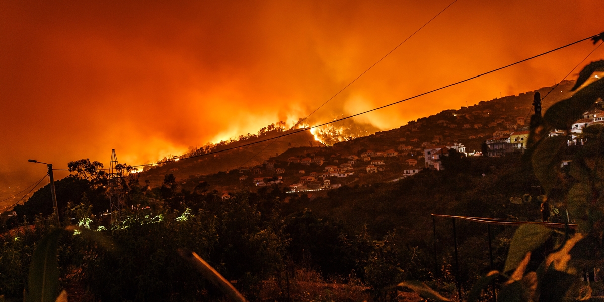 Wildfire over foothills