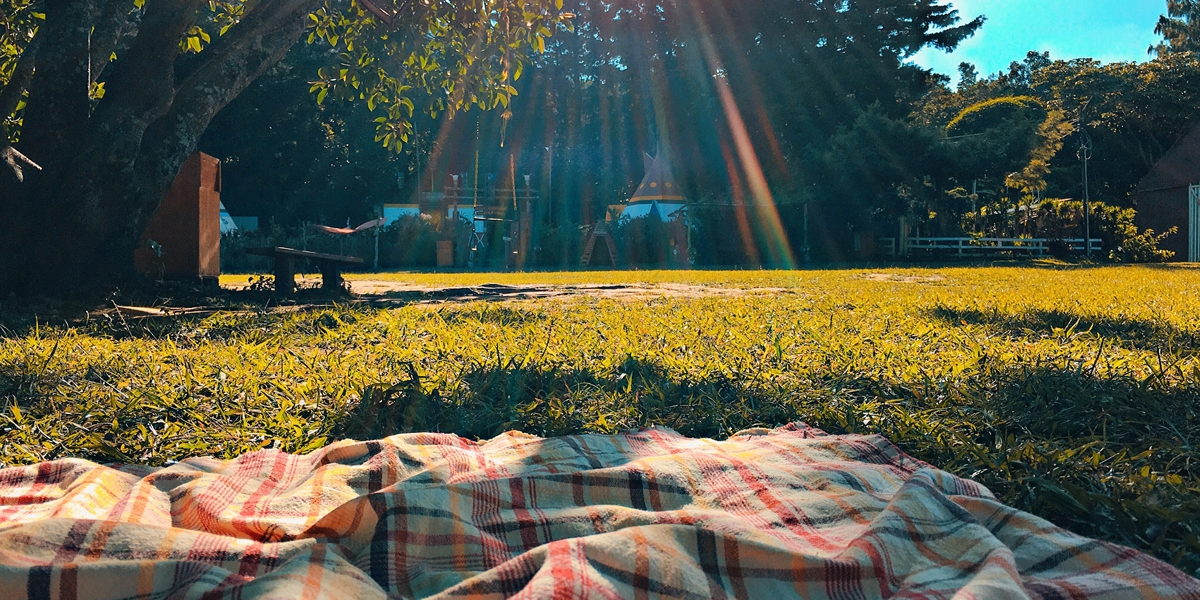 Picnic blanket in park