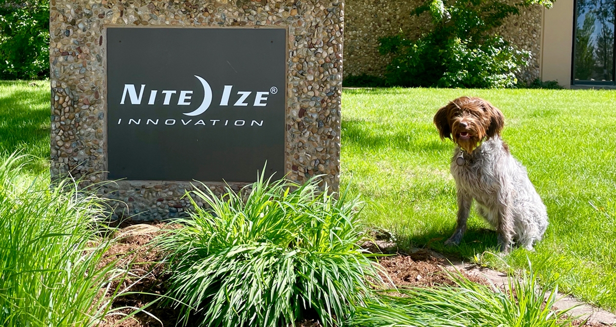 Dog in front of Nite Ize building