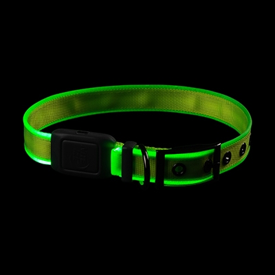 NiteDog LED Collar 